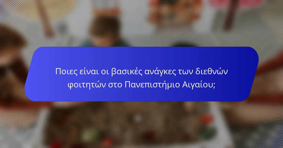 Ποιες είναι οι βασικές ανάγκες των διεθνών φοιτητών στο Πανεπιστήμιο Αιγαίου;