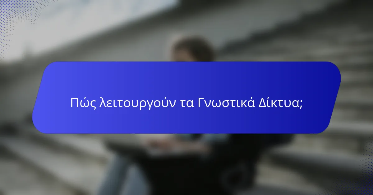 Πώς λειτουργούν τα Γνωστικά Δίκτυα;